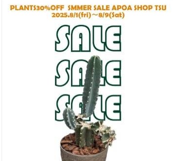 植物セール　アポア津