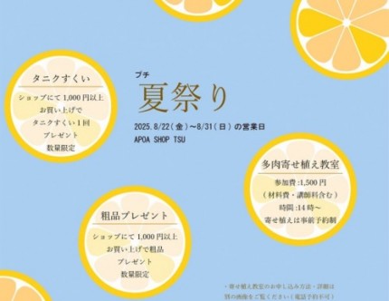 アポア津　夏祭り