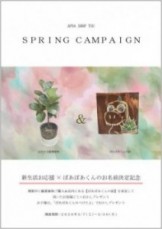 スプリングキャンペーン　アポアショップ