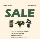 アポアショップ　植物SALE