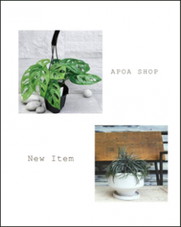 new item アポアショップ　観葉植物