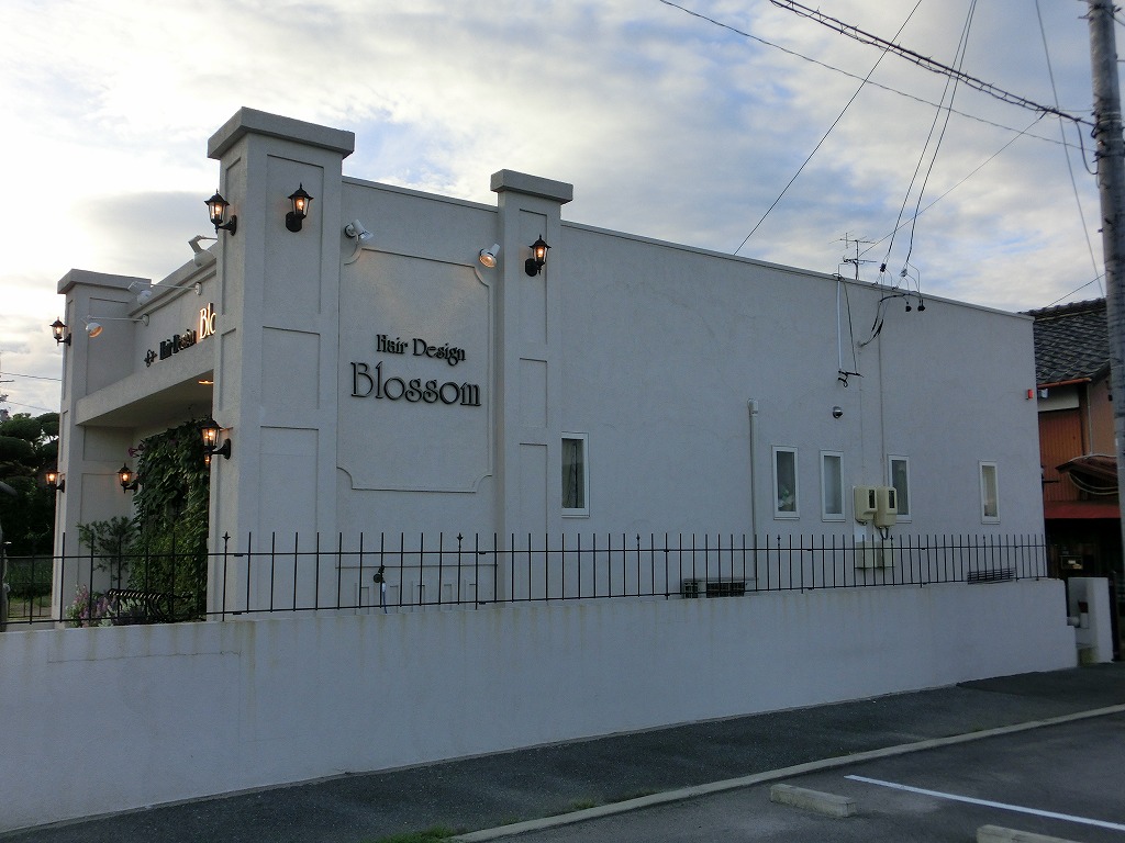 西日 南の光を遮る壁面緑化 西洋朝顔とアンゲロニアのコラボ 三重県津市 ブラッサム 三重県の店舗設計 店舗改装 アポア