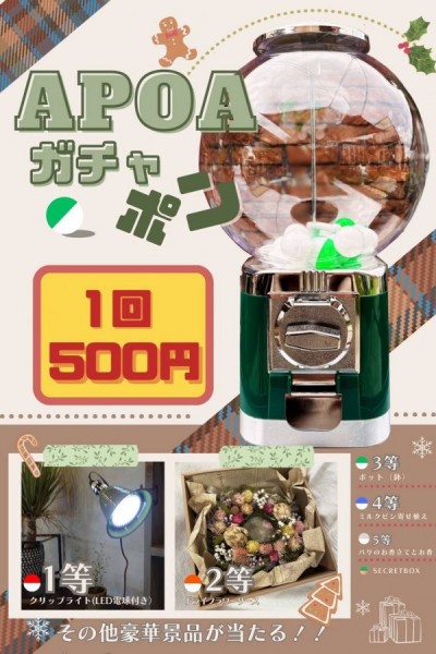 津新町ホコ天　アポアショップ