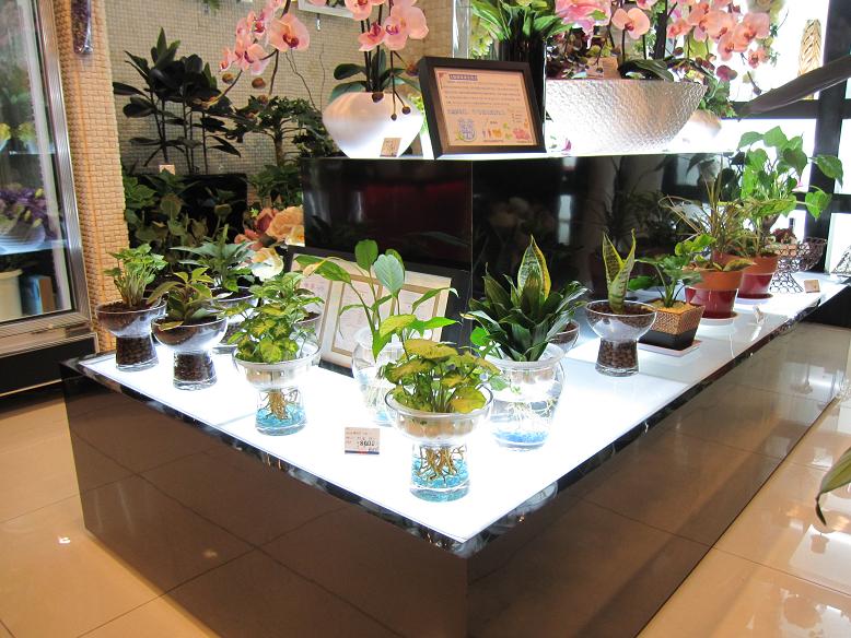 中国のお花屋さん 三重県の店舗設計 店舗改装 アポア
