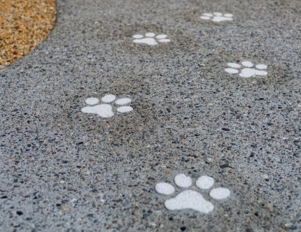 コンクリートには犬の足跡の模様があります。